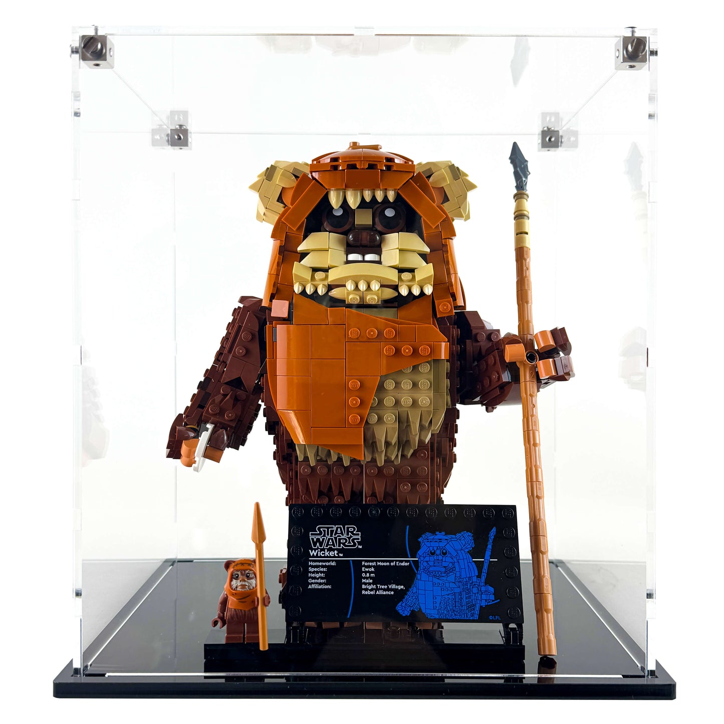 Display Case for LEGO 75430 Star Wars Wicket the Ewok