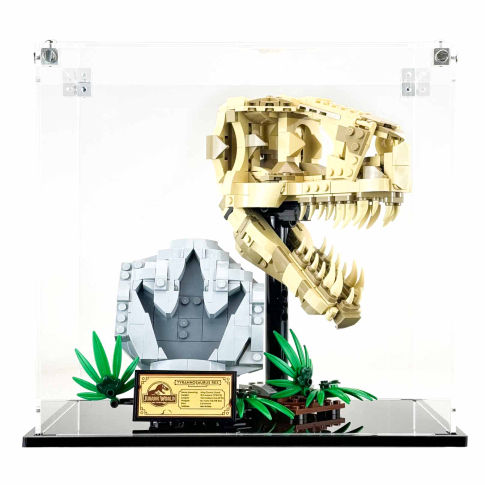 76964 display case lego jurassic world dinosaur fossils t rex skull