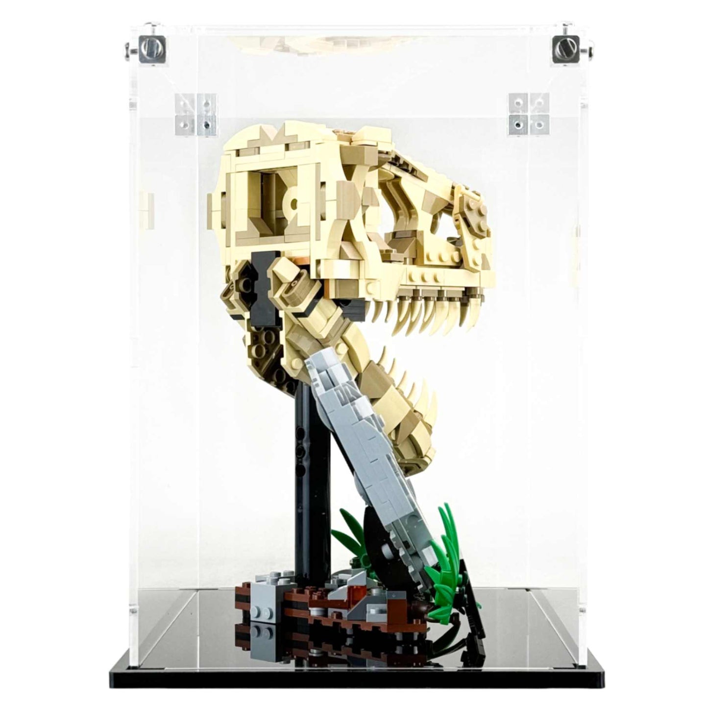 76964 display case lego jurassic world dinosaur fossils t rex skull