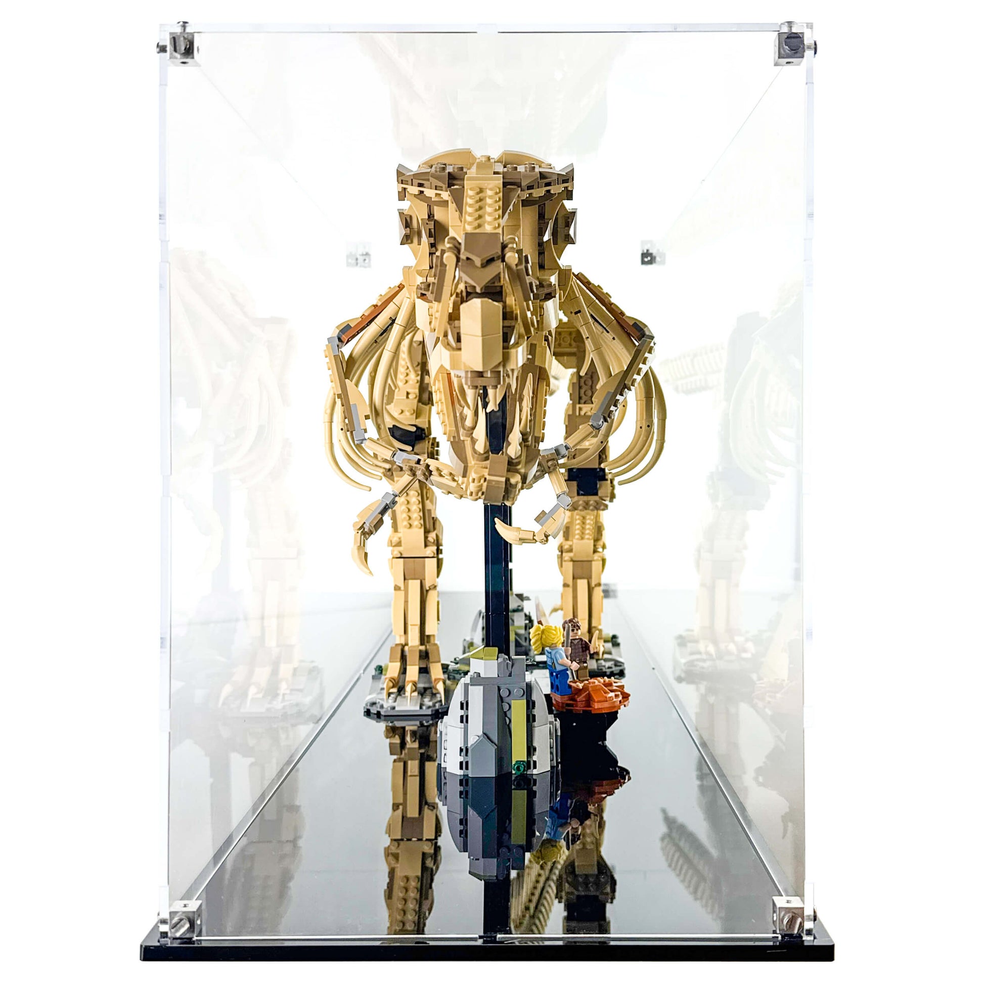 Display Case for LEGO 76968 Jurassic World Dinosaur Fossils Tyrannosaurus rex
