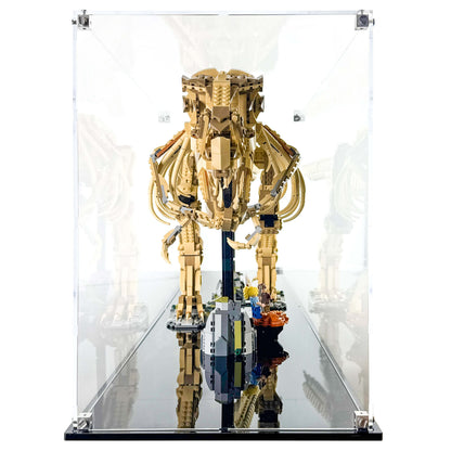 Display Case for LEGO 76968 Jurassic World Dinosaur Fossils Tyrannosaurus rex
