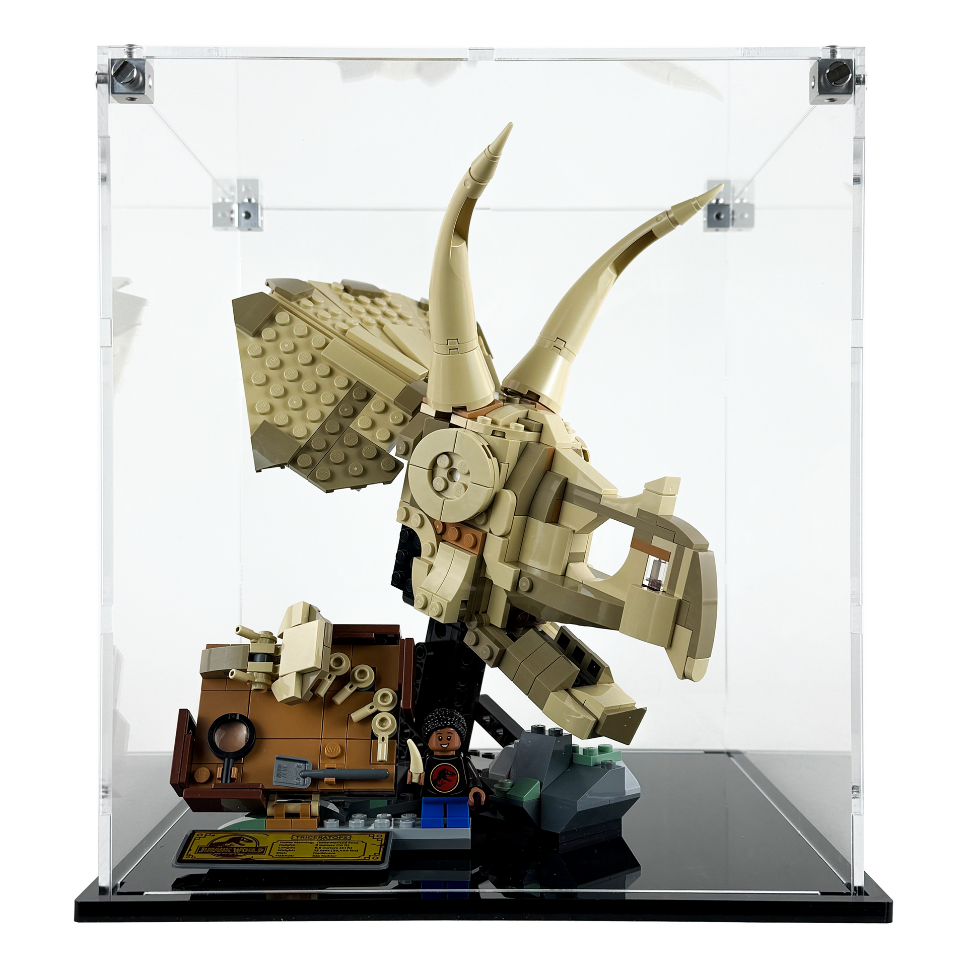 Display Case for LEGO® 76969 Jurassic World Dinosaur Fossils
